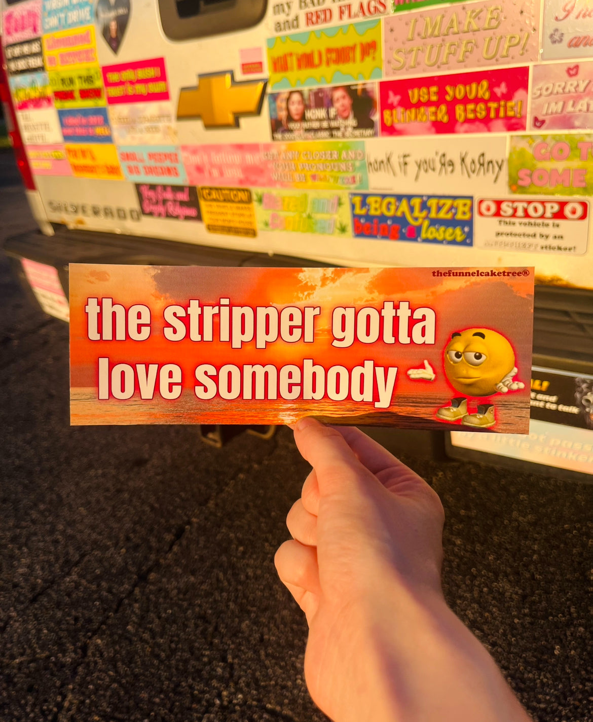 The stripper gotta love somebody Bumper Sticker - The Funnel Cake Tree