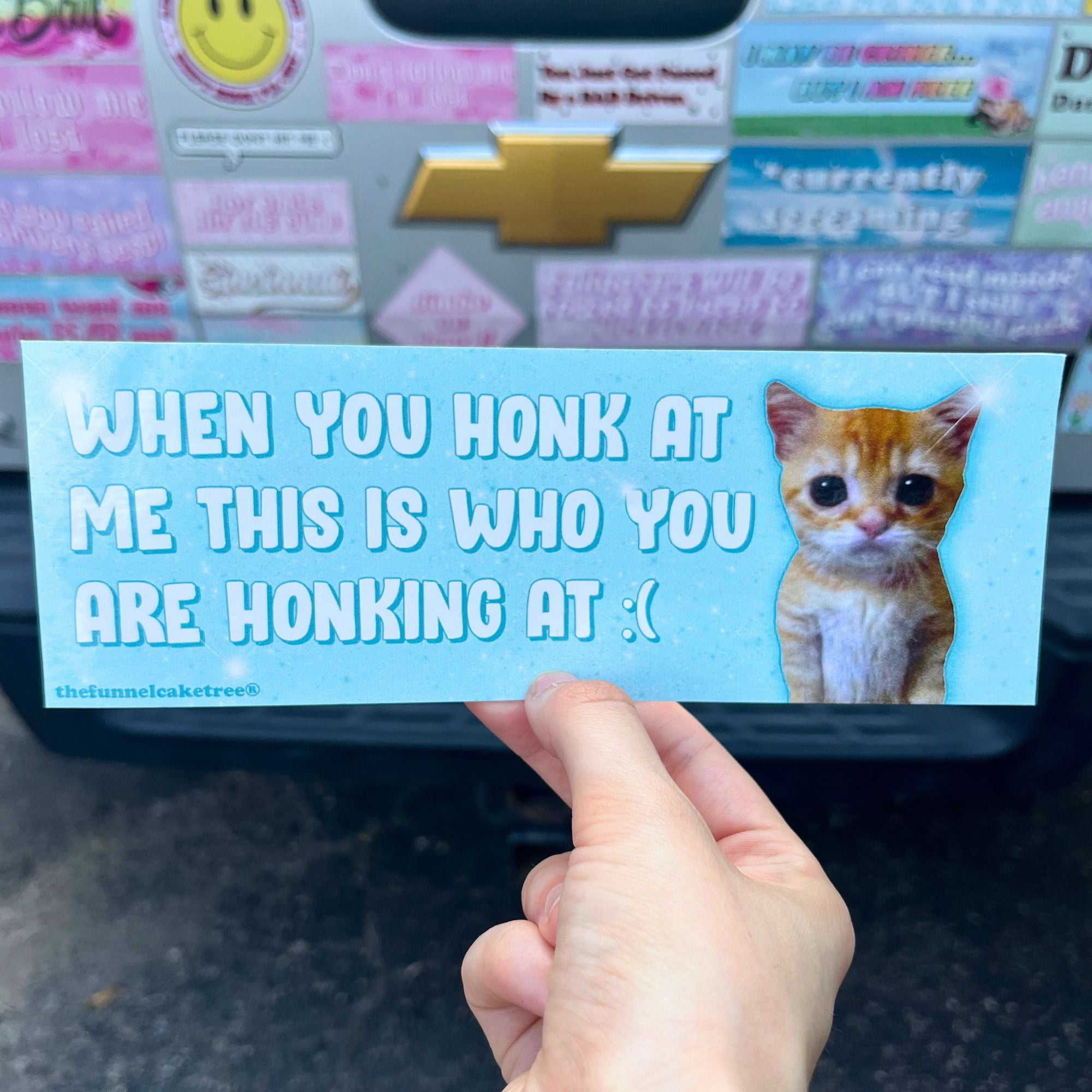 Hand holding a bumper sticker with a cat illustration and humorous text.