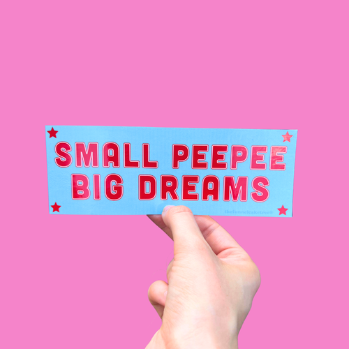 Big Dreams Mini Bumper Sticker