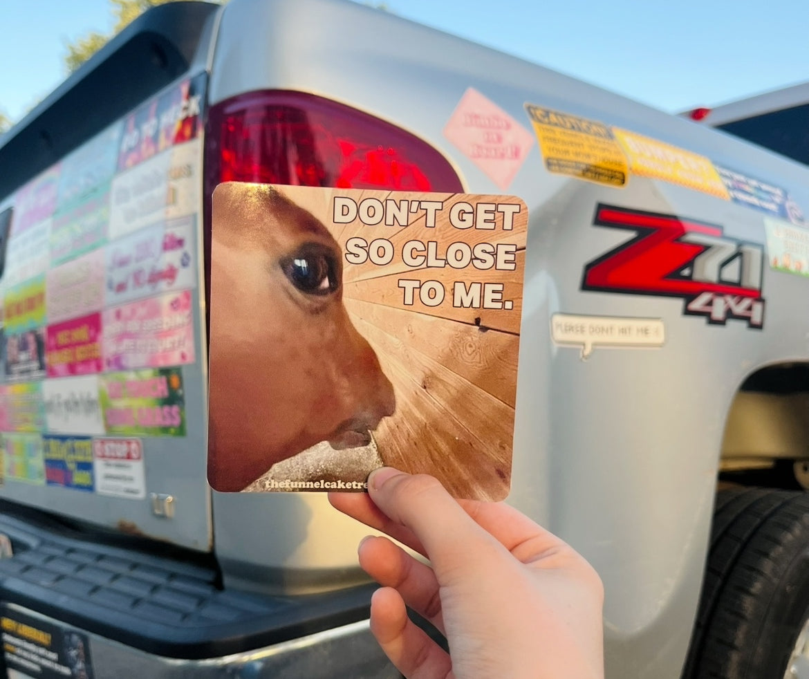 Don't Get So Close to Me horse funny bumper sticker