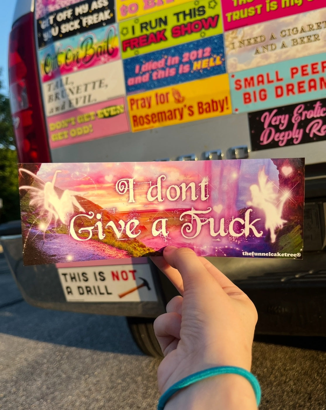 I don't give a frick funny bumper sticker