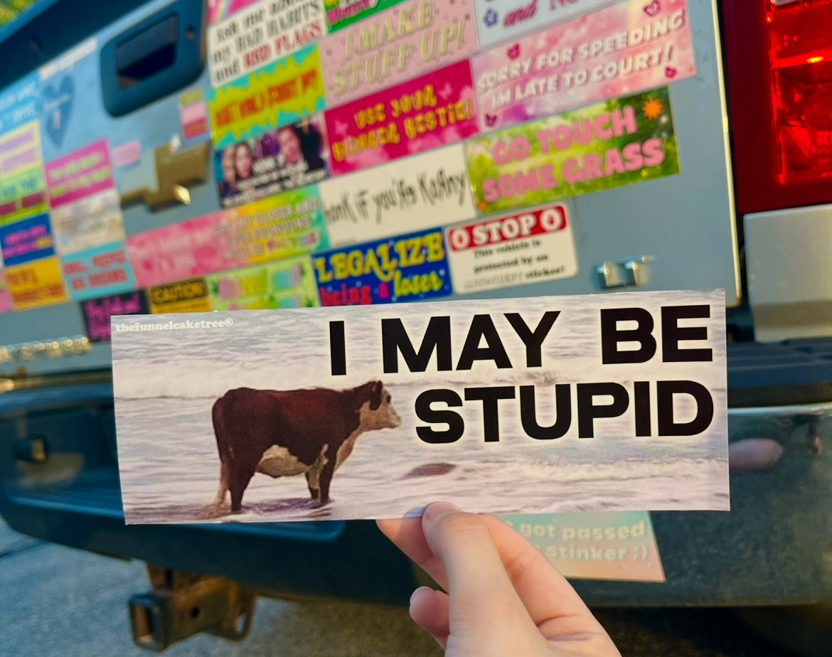 I May Be Stupid cow funny bumper sticker
