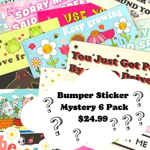 Bumper Sticker Mystery 6 pack🎉🎉