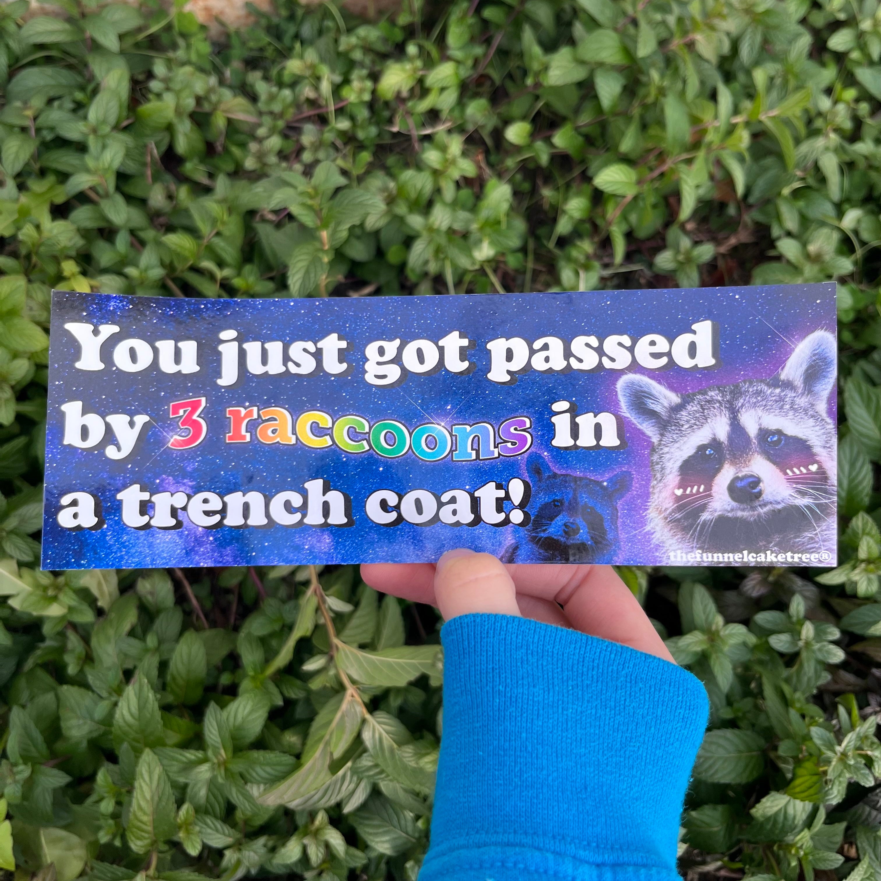 The funnel cake tree Izzy holding a bumper sticker that has a cosmic backgroud and a photo of a racoon. The text says You just got passed by 3 raccoons in a trench coat!