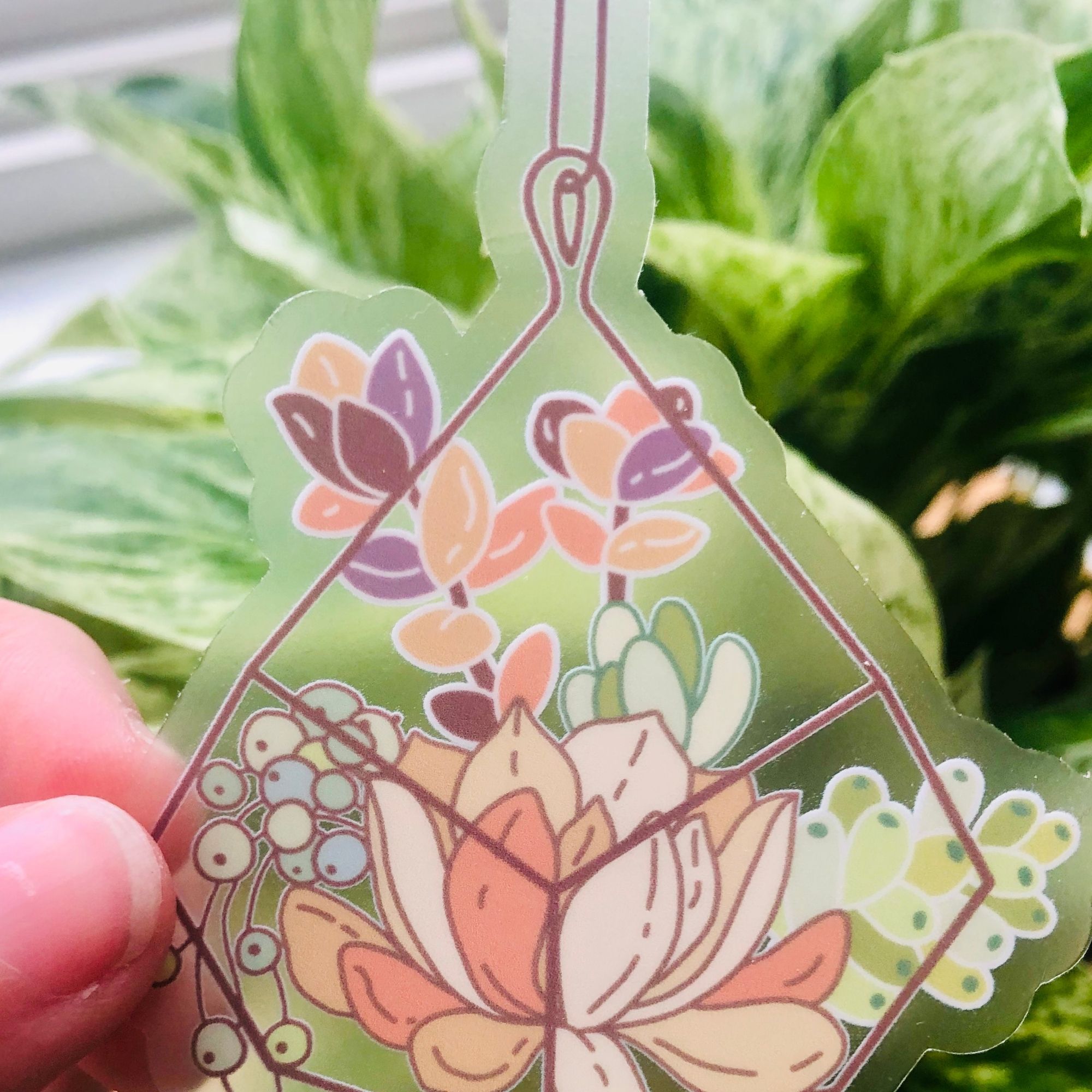 clear terrarium sticker