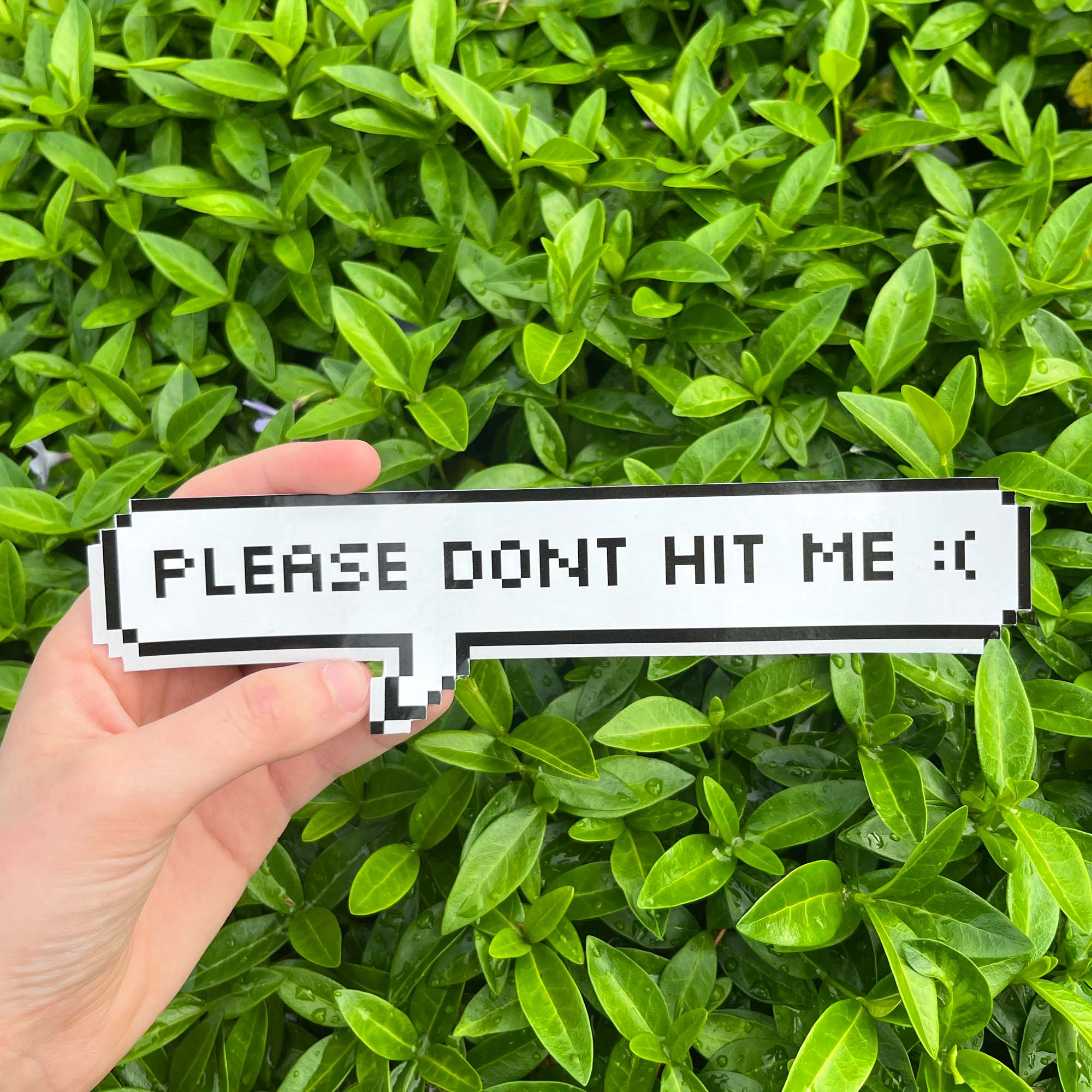 A hand holding a bumper sticker with the text 'PLEASE DONT HIT ME :( ' on a background of green leaves.