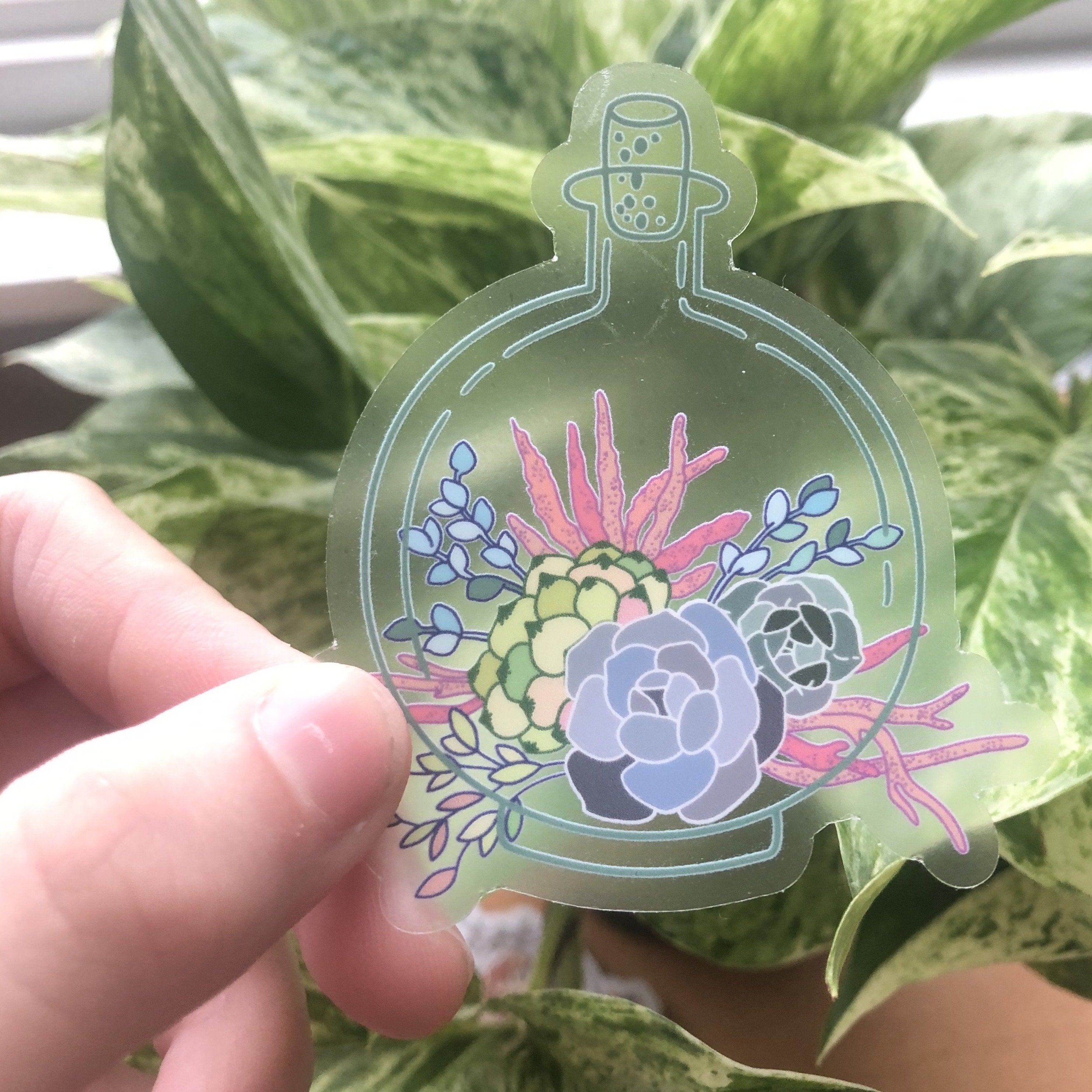 a hand holding a clear terrarium sticker filled with succulents 